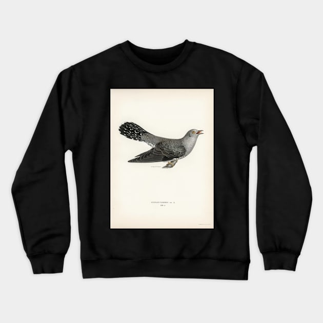 Common cuckoo-male (cuculus canorus) illustrated by the von wright brothers Crewneck Sweatshirt by Donkeh23